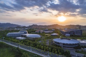  青岛国信水产内外开花，双杀山西汾酒队