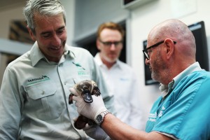  电竞选手心理健康受关注，科学调理成常态